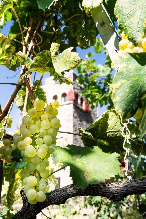 Bed and Breakfast Castel De Daval Sierre Exterior foto